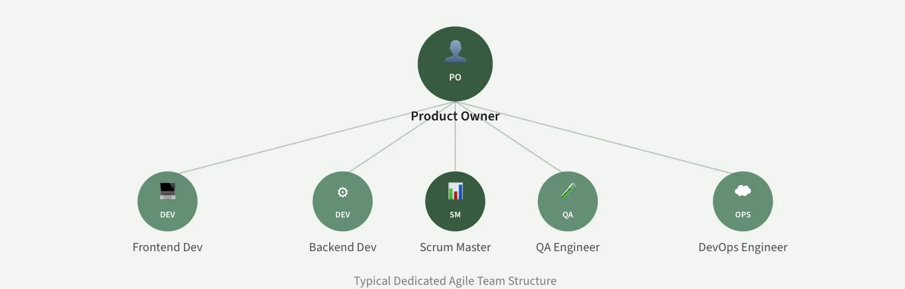 Organizational chart showing typical dedicated agile team structure with Product Owner at the top connected to Frontend Dev, Backend Dev, Scrum Master, QA Engineer, and DevOps Engineer